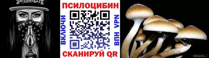 Галлюциногенные грибы Magic Shrooms  Туапсе 