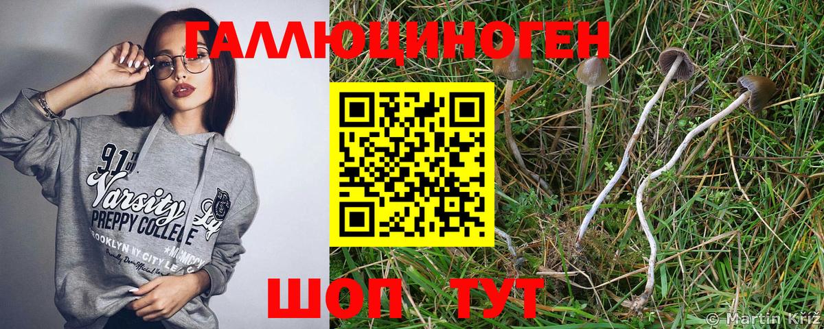 Галлюциногенные грибы MAGIC MUSHROOMS Туапсе